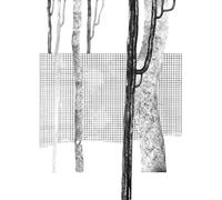 Various Artists Systema Naturae I (Vinyl LP) 12" Album