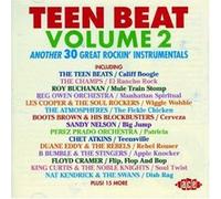 VARIOUS ARTISTS - TEEN BEAT VOL 2 - CD - E72z
