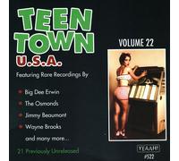 Various Artists Teen Town Usa, Vol. 22 Big Dee Irwin-Travelers-Treasures An (CD)