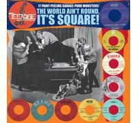 Various Artists Teenage shutdown - the world ain't round it's square (Vinyl LP)