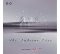 Various Artists The Ambient Zone (CD) Album