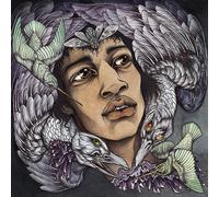 Various Artists The Best of James Marshall Hendrix (Vinyl LP)