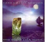 Various Artists - The Best Of New Welsh Folk Music