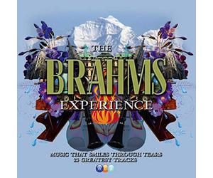 Various Artists - The Brahms Experience