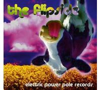 Various Artists The Flip Side (CD)