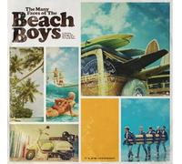 Various Artists - The Many Faces Of The Beach Boys (Marble/Cyan Vinyl) [VINYL]