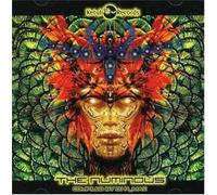 Various Artists The Numinous (CD) Album
