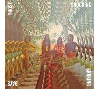 Various Artists Those Shocking Shaking Days (Vinyl LP)
