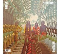 Various Artists Those Shocking Shaking Days (Vinyl LP)