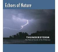 Thunderstorm: Echoes of Nature
