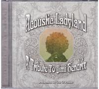 Various Artists - Tribute to Jimi Hendri