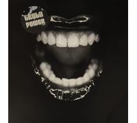Various Artists Truth to Power Project (Vinyl LP)