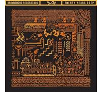 VARIOUS ARTISTS - TWENTY YEARS DEEP