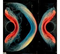 various artists-utopia or oblivion lp