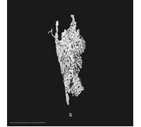Various Artists V - Five Years of Artefacts - Chapter Three (Vinyl LP) 12" EP