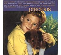 VARIOUS ARTISTS - VARIOUS ARTISTS / PRECIOUS