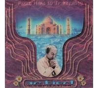 Various Artists - Vol. 1-from Here to Tranquility