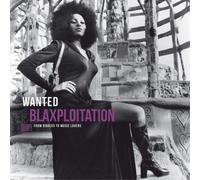 Various Artists Wanted: Blaxploitation: From Diggers to Music Lovers (Vinyl LP)