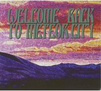 VARIOUS ARTISTS Welcome Back To Meteor City (CD)