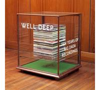 VARIOUS ARTISTS Well Deep:10 Years of Big Dada (CD)