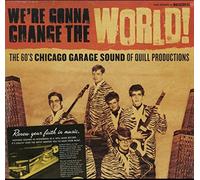 Various We're Gonna Change the World The 60's Chicago Garage Sound o (Vinyl LP)