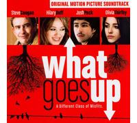 Various Artists What Goes Up: A Different Class of Misfits (CD) Album