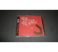 Various Artists - What the Funk You Waitin for
