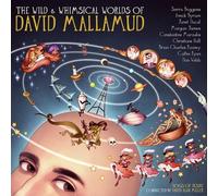 Various Artists Wild & Whimsical Worlds Of David Mallamud / Var (CD)