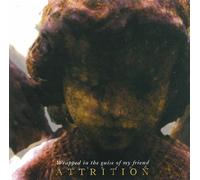 Various Artists WRAPPED IN THE GUISE OF.. (CD)