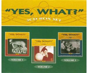 Various Artists - Yes, What? Vol 1