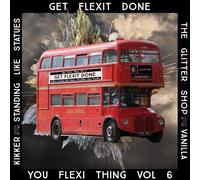 Various Artists - You Flexi Thing Vol 6- Get Flexit Done