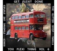 Various Artists - You Flexi Thing Vol 6- Get Flexit Done