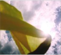 Various - Before the Lights