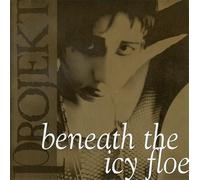 Various - Beneath the Icy Floe