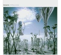 Various - Besame-Chilling Tunes