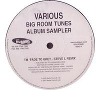Various - Big Room Tunes 12" Sampler [Import]