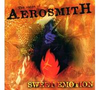 Various - Blues on fire - Songs Of Aerosmith