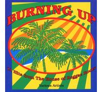 Various - Burning Up/House of Reggae Roo