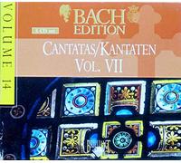Various - Cantatas Kantaten Vol.VII