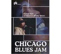 Various - Chicago Blues Jam: George Baze/Tribute to Muddy Waters [DVD] [Region 1] [US Import] [NTSC]