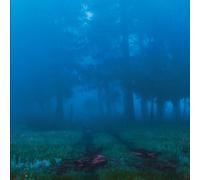 Various Commune (Vinyl LP)