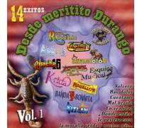 Various - Desde Meritito Durango 1