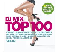 Various - DJ Mix Top 100 Vol.2