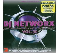 Various - DJ Networx Vol.30