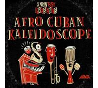 Various - DJ Snowboys Afro Cuban
