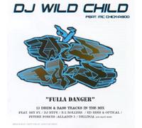 Various - DJ Wild Child Vol.3/Feat.Mc C