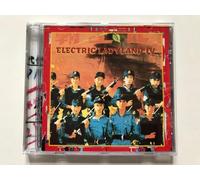 Various - Electric Ladyland IV