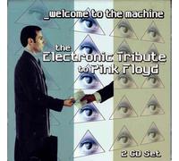 Various - Electronic Tribute to Pink Flo