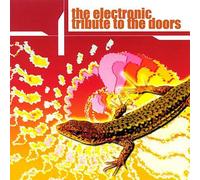 Various - Electronic Tribute to the Door