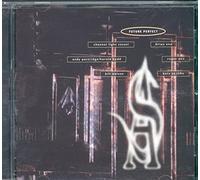 Various - Future Perfect